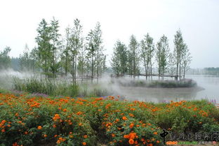 北京市2010年度园林绿化优质工程开评
