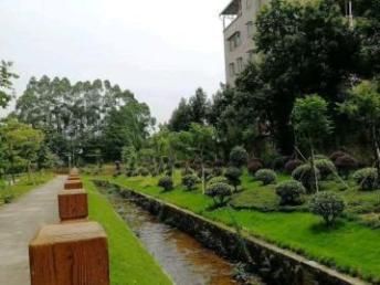 图 广州园林绿化施工,绿化工程承包,种花种苗,修枝移栽 广州鲜花绿植