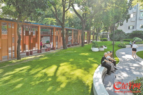 广州马庄巷社区公园 烂尾工地变老城绿洲 精细养护让绿美常在